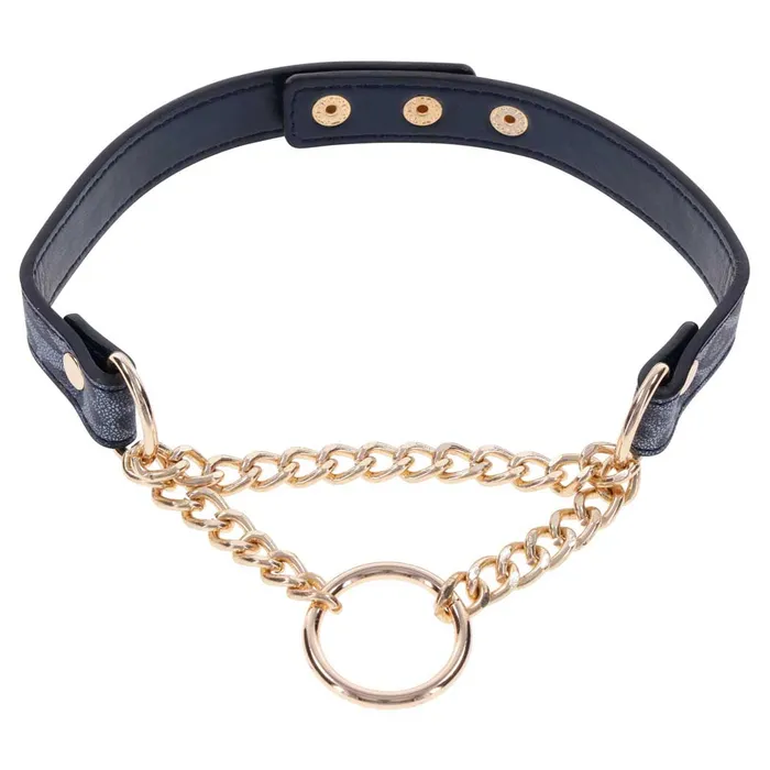 Sex Mischief Cougar Day Collar iloveexcitement Couples