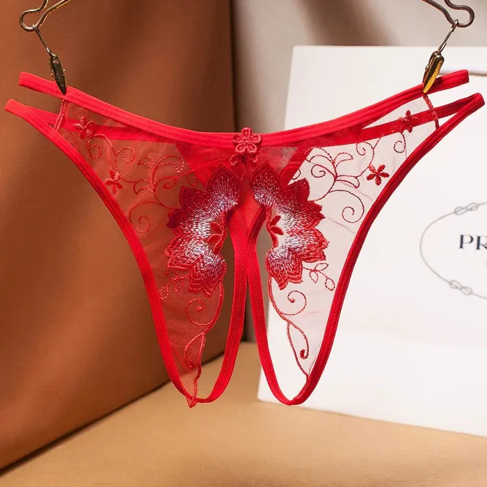 Female Sex Toys Womens Sexy Bikini Panties with Lace Transparent Embroidery Briefs Ladies Mesh Lingerie EVEs SECRETS