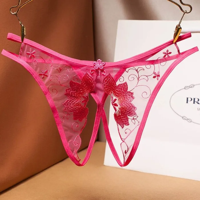 Female Sex Toys Womens Sexy Bikini Panties with Lace Transparent Embroidery Briefs Ladies Mesh Lingerie EVEs SECRETS