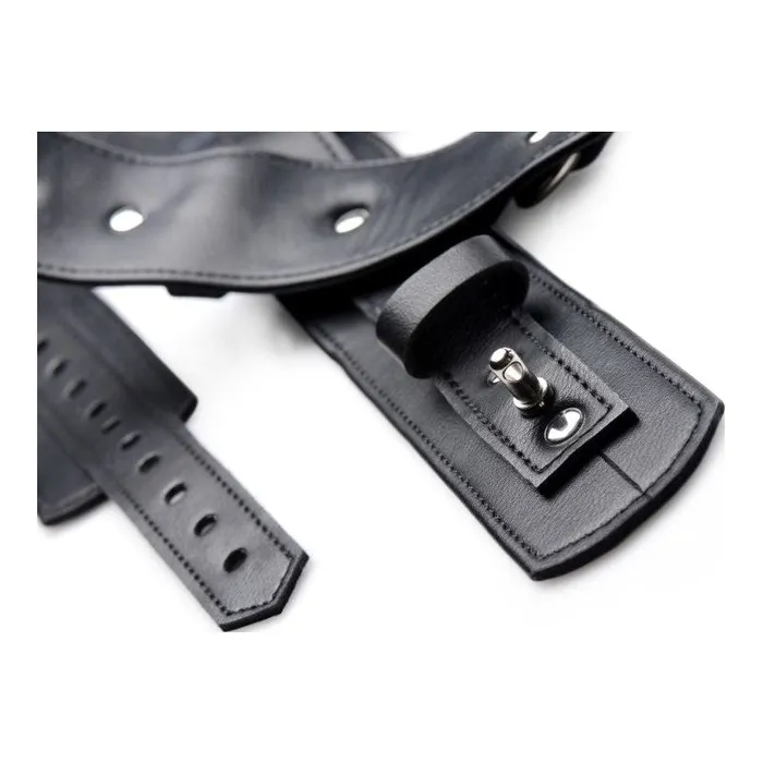Strict Anal Frog Tie Restraint Set Black