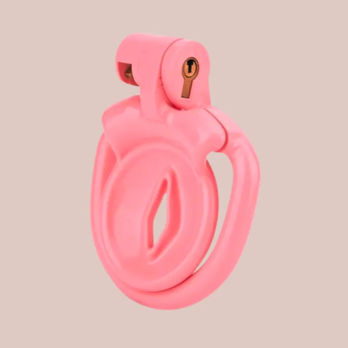Inverted Sissy Pussy Chastity Cage Kits House of Chastity Male Sex Toys